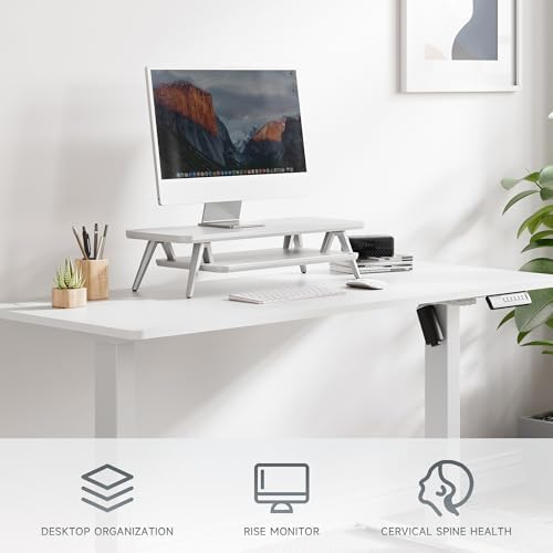 Fenge Monitor Stand Riser, Wooden Desk Shelf with 2-Tier Storage