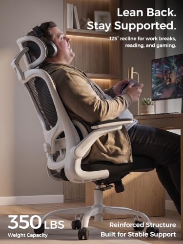 Ergonomic Office Desk Chair, Adjustable Dual Lumbar Support & Thick Seat