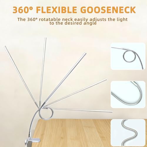 Space Aluminum LED Desk Lamp with Clamp Reading Study Desk Light