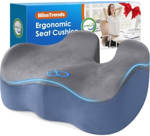 BlissTrends Extra Thick Seat Cushion for Office Chair & Car Seat, Grey&Blue