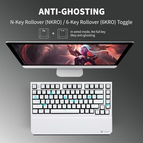 Hexgears X2 TKL Wireless Mechanical Gaming Keyboard with Magnetic Wrist Rest, Dual-Mode 2.4GHz/USB-C Ergonomic Keyboard, Pre-lubed Clicky Switches, White LED Backlit Computer Gaming Keyboards