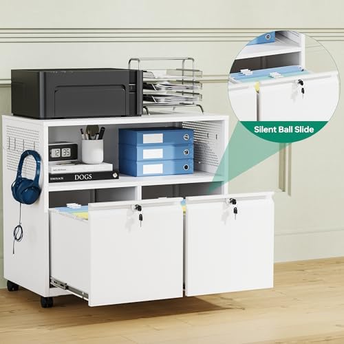 Letaya Mobile 2 Drawer File Cabinet with Lock, Metal Lateral Printer Stand Filing Storage Cabinets with Shelves for Home Office-A4/F4/Letter (White)