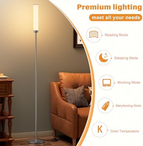 Ambimall LED Floor Lamp with Remote Control, Foot Switch, Deep Grey