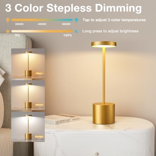 Cordless Rechargeable Table Lamp, 4000mAh Battery Operated, Gold, 2 Pack