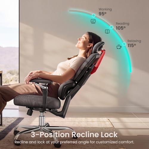 SEDETA S100 Ergonomic Office Chair with Lumbar Support, 6D Armrests