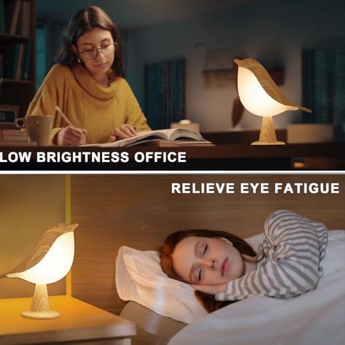 Small Bird Table Lamp, 2600 mAh Cordless Desk Lamp, Touch Night Light with 3 Color, Small Lamps, Rechargeable Bedside Night Light, Hummingbird Lamps for Bedroom Nightstand Bedside Table