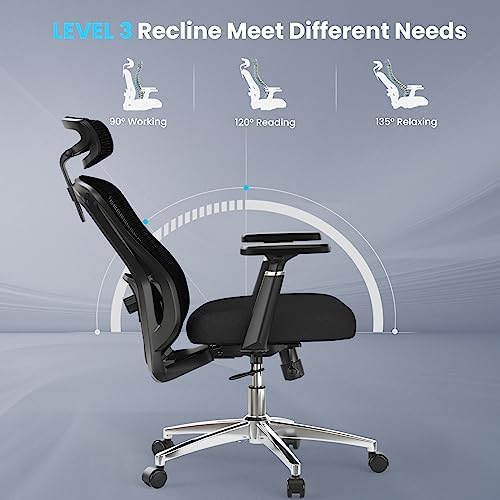 Mesh High Back Home Office Desk Chair, 350lb Capacity, Reclining