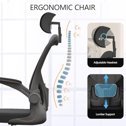 Office Chair Desk Chair with Adjustable Lumbar Support & Headrest