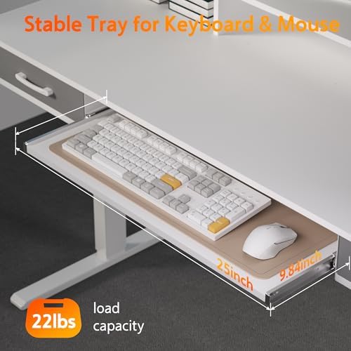 WALKINGDESK 55 Inches Electric Standing Desk with Keyboard Tray, Height Adjustable Sit to Stand Table with 2 Drawers, Ergonomic Home Office Desk with Storage Shelf, Computer Table, White