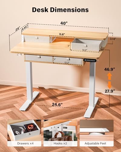 FiCiHi 40x24 Inch Electric Standing Desk, 4 Drawers, Adjustable Height Desk