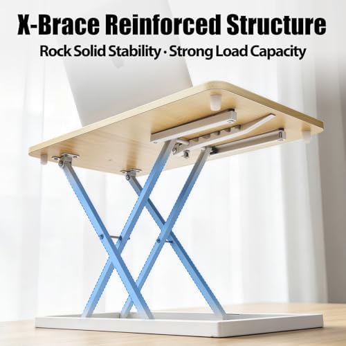Omhuzsyo 24 in Height Adjustable Standing Desk Converter Stand Up Riser