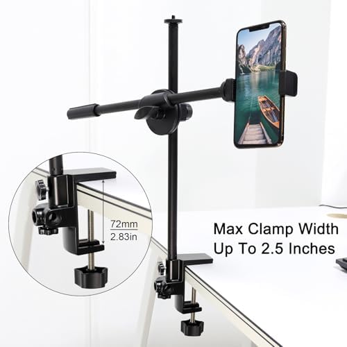 RTNLIT Desk Lamp Clamp, 0.49in/12.5mm 4 Hole Metal Table Mounting Clamp