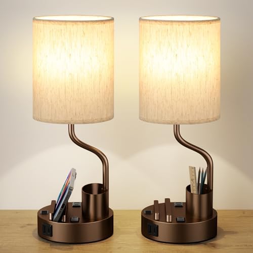 Fenmzee Bedside Lamps for Bedroom Set of 2 - Table Desk Lamp for Nightstand