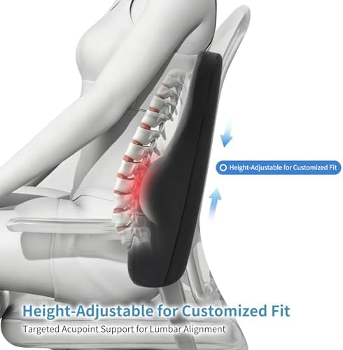 Lumbar Support Pillow, Memory Foam Back Support for Office Chair