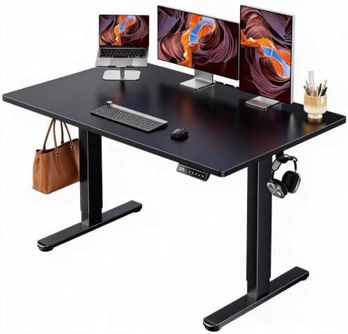 ErGear Electric Standing Desk, 48" x 30" Whole Piece Desktop, Adjustable Height Computer Desk, 4 Height Memory Settings, Sit Stand Up Desk for Home Office, Black