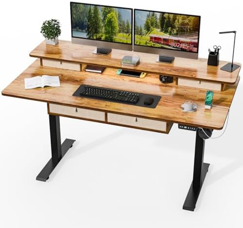 Kingant Electric Standing Desk with 4 Drawers, Height Adjustable 63"x 30"