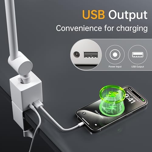 deeloop Dual Arm Desk Lamp with Clamp, CRI95+ Asymmetric LED Light wiht USB