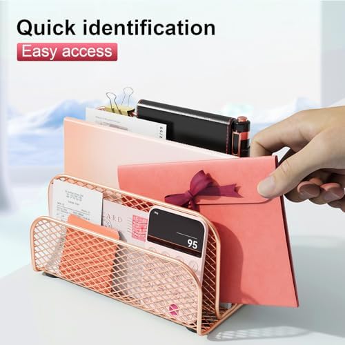 gianotter Mail Organizer Countertop