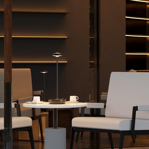 Rechargeable LED Cordless Table Lamp, Touch-Activated