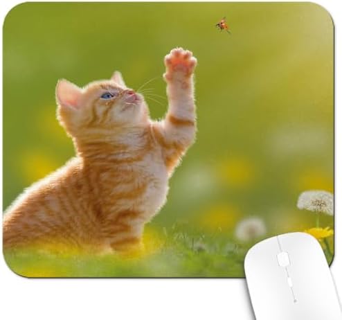 9.5x7.9 Inch Office/Gaming Mouse Pad, Lovely Orange Tabby Kitten Playing with Ladybug Adorable Spring Cat Pet, Cute Anti-Slip Mat for Desk Decor