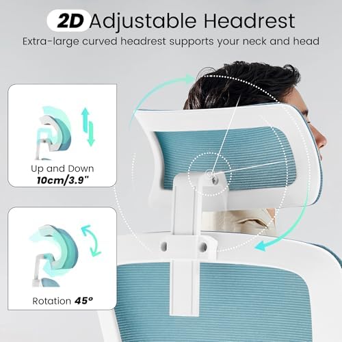 Fizzin Ergonomic Office Chair, Desk Chair with Adjustable Lumbar Support