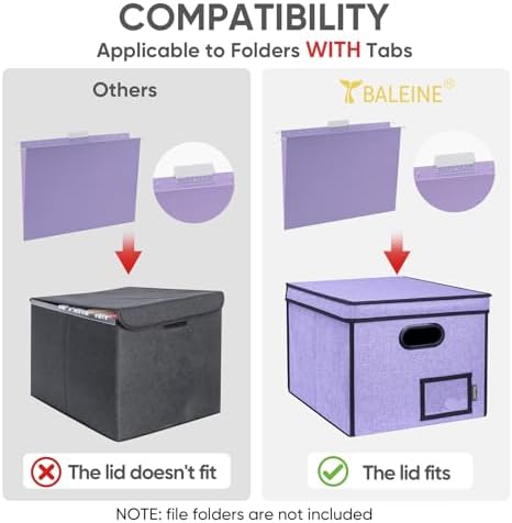 BALEINE File Organizer Box with Lid, Collapsible Hanging File Storage Box