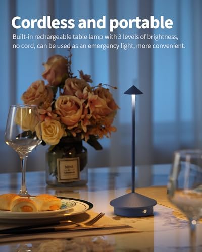 Modern Cordless Table Lamp Set of 2, Blue Portable LED Desk Lamps
