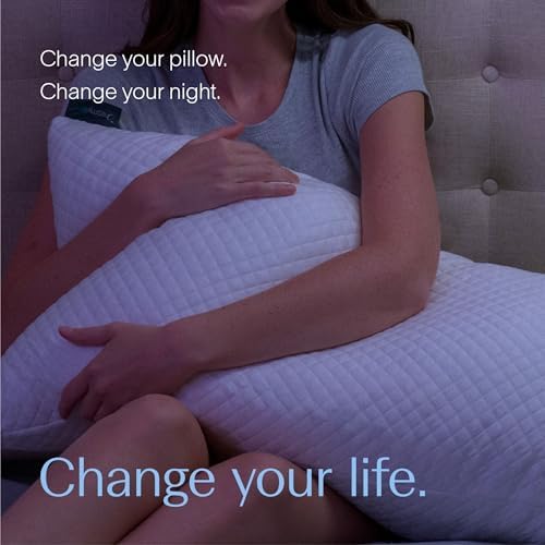 DreamyBlue Signature Adjustable Shredded Memory Foam Pillow King