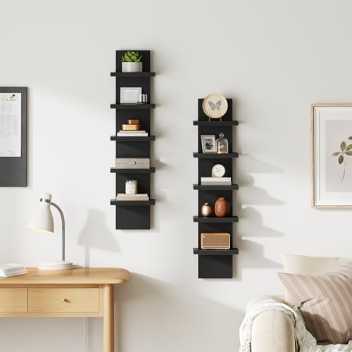 HOOBRO 5 Tier Wall Shelf Unit for Storage, 2 Pack Floating Shelves for Wall