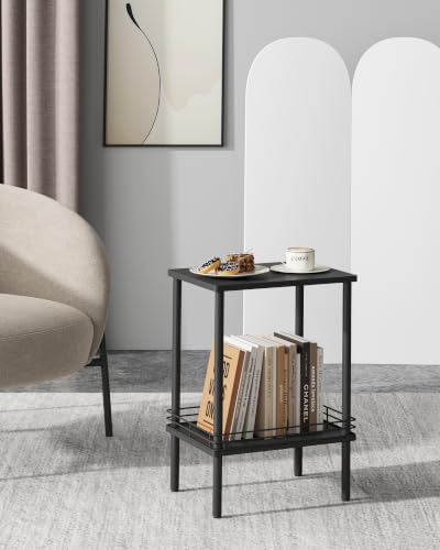 DGSANDGO Modern Small Side Table with Storage, 2-Tier Black End Table