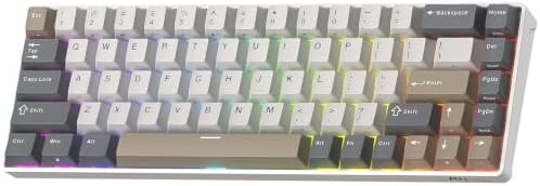 RK ROYAL KLUDGE RK68 65% RGB Wireless Mechanical Keyboard for Gaming, Work