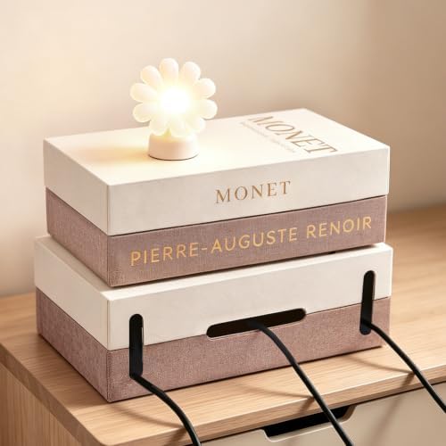 2 Pack Book Shape Cable Management Box, Decorative Faux Book Cable Box Organizer & Cable Box Hider for Power Strips and Chargers, Cord Storage Organizer for Desk, Nightstand, Bookshelf