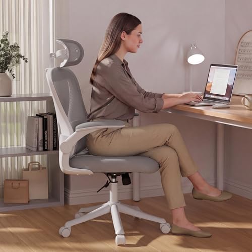 Ollega Ergonomic Office Chair with Memory Foam Seat, Computer Desk Chair