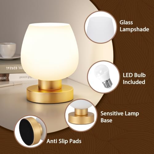 Seealle Small Touch Table Lamp for Nightstand, 3 Way Dimmable Bedside Lamp