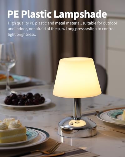 KDG Silver Cordless Small Table Lamp, Portable LED Dimmable Desk Lamp