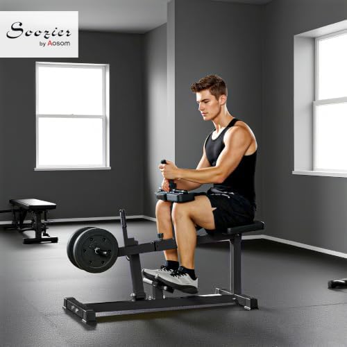 Soozier Seated Calf Raise Machine for Home Gym Waist Arm Training