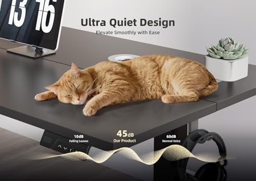 YDN 40 x 24 Inch Black Electric Standing Desk