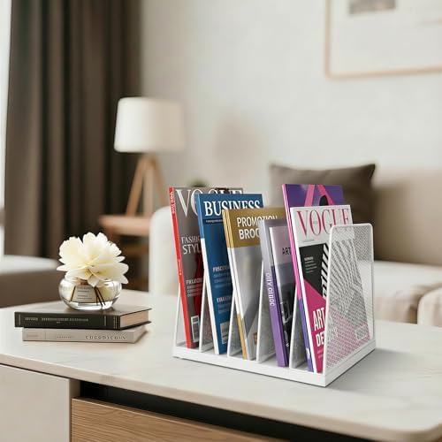LEKETREE Small Desk File Organizer, 5-Section Upright File Sorter, Vertical File Folder Holder, Mesh Metal Wood Office Desktop Organization for Document, Magazine, Books and more (White)