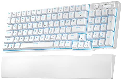RK ROYAL KLUDGE RK96 Wireless Mechanical Keyboard with Magnetic Wrist Rest