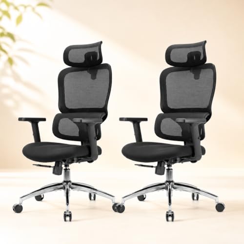 SIHOO M56 Ergonomic Office Chair, Dual Backrest, Adaptive Lumbar Support