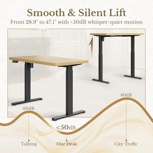 ErGear 48 X 24 Inch Height Adjustable Electric Standing Desk, Light Walnut