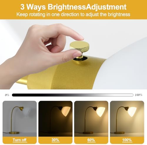 RISLG LED Desk Lamp for Home Office, 3 Levels Dimmable Reading Light, Flexible Table Lamp for Bedside Office, Rotary Switch Control, Desk Lamp for College Dorm Study Lamp, Bulb Included, Gold
