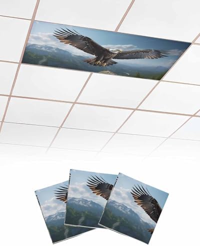 Eagle Magnetic Fluorescent Light Covers for Ceiling Lights 2 x 4 Feet,Forest Mountains Range Sky Animal Natural Landscape Office Classroom Kitchen Drop Ceiling Light Covers Filters Shade Panel 3 Packs