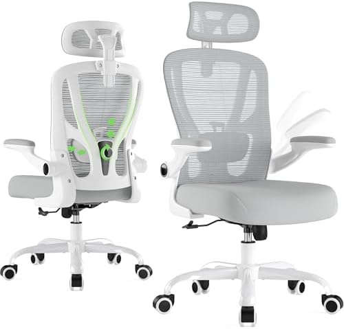 Office Chair Ergonomic Desk Chair with 3D Lumbar Support & Headrest