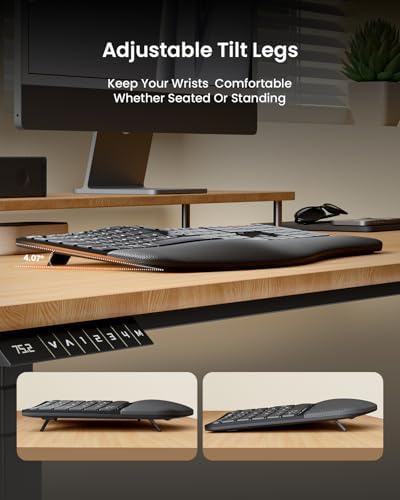 ProtoArc EKM01 Plus Wireless Ergonomic Keyboard Mouse Combo - Black