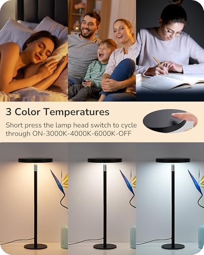 EDISHINE LED Table Lamp, Desk Lamp with 2 Adjustable Height, High CRI 90+