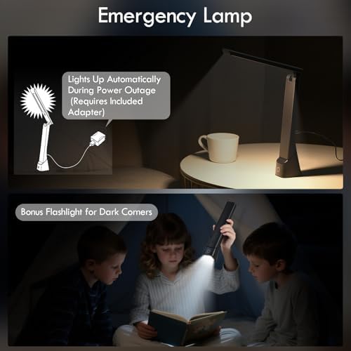 WILIT Rechargeable LED Desk Lamp with Torch Light for Office Home,Cordless Battery Operated Table Lamp with 3 Colors Dimmble Stepless,Eye-Caring Desk Light,Touch Control Lamp for Camping Reading Study