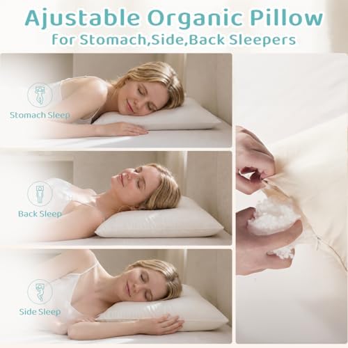 Organic Pillow 20x26 with Cotton Case, Adjustable for Side Sleepers