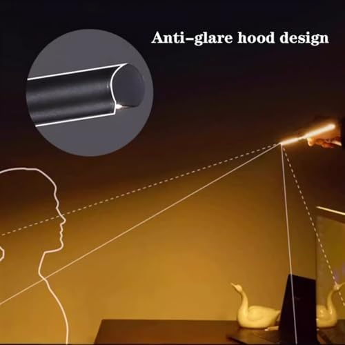 Eye-care Study Lamp, LED Desk Lamp with Clamp, Double Head Eye Protection Desk Lamp with Auto Shut-Off Timer, 5 Color Modes & Stepless Dimming, for Reading Study Workbench ,LED Table Lamp(Black)
