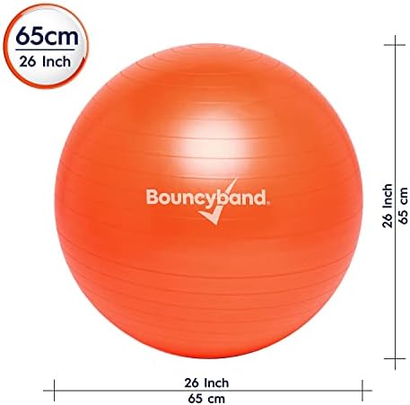 Bouncyband Balance Ball – Create Flexible Seating to Improve Focus at School, Office, or Home with This No-Roll Weighted Ball